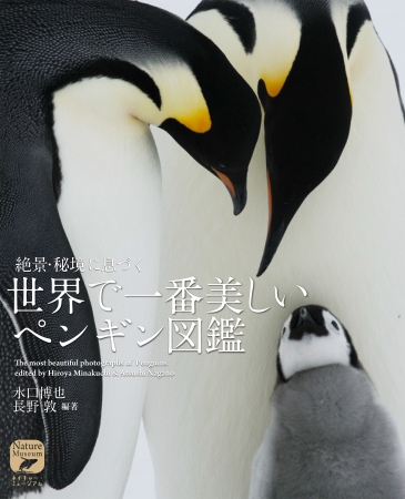 『絶景・秘境に息づく 世界で一番美しいペンギン図鑑』の紹介